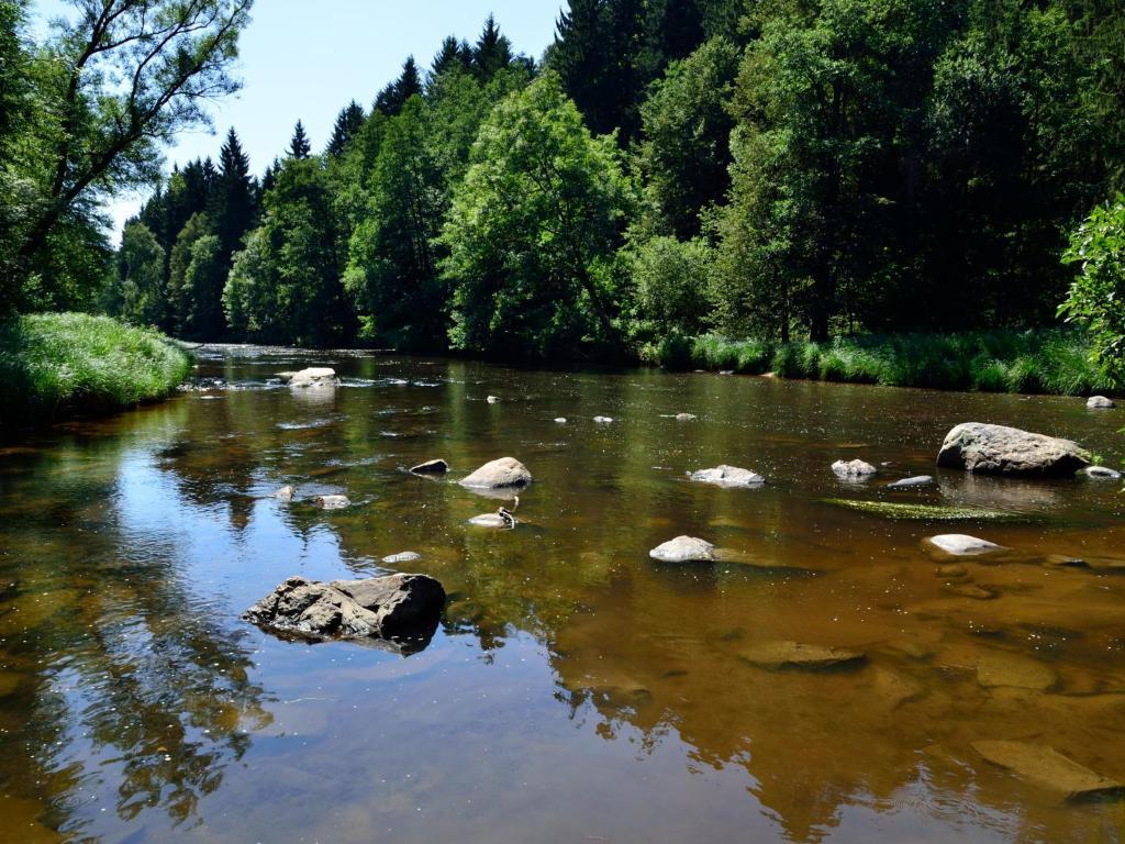 Ferienwohnungen Grill Schönberg Pokój zdjęcie